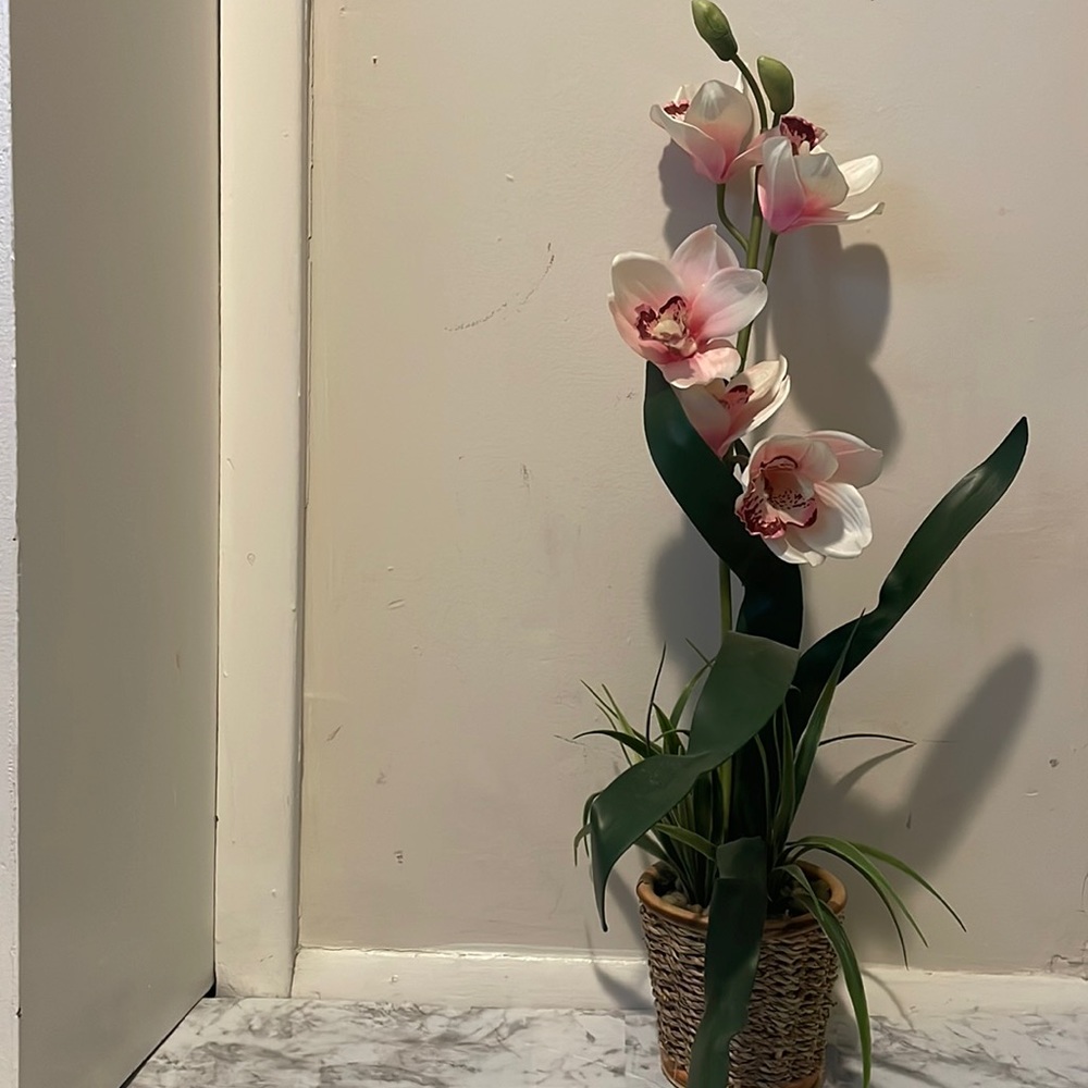 Home Decor